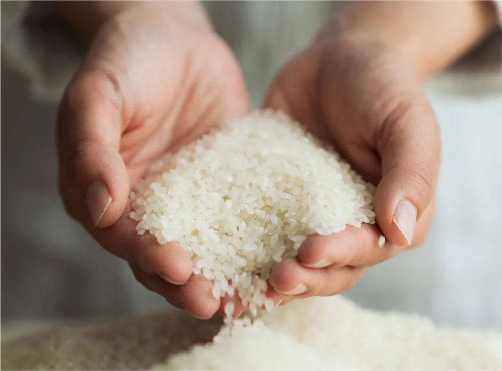 In Pursuit of the Finest Sake, We Start with the Soil