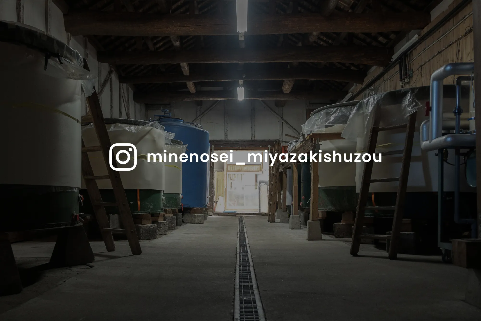 minenosei_miyazakishuzouインスタグラム