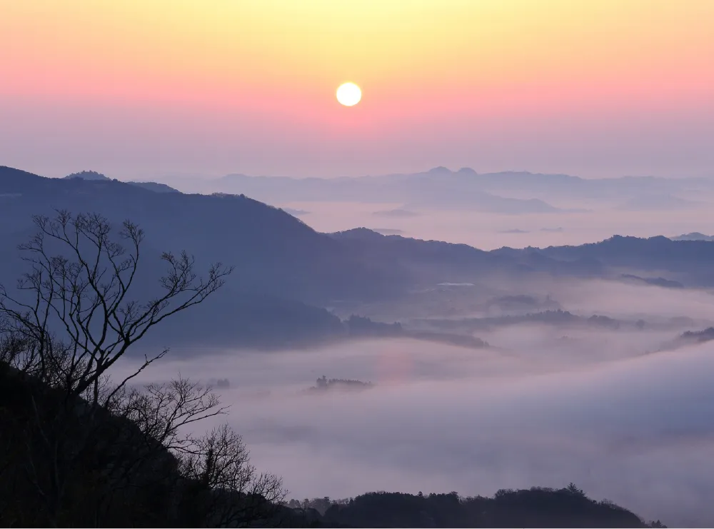 自然の水に恵まれた、上総の地で150年。